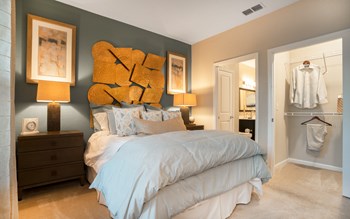 9104 Canopy Oak Lane 1-3 Beds Apartment for Rent - Photo Gallery 6